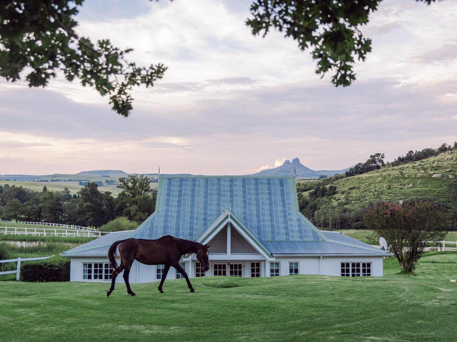 Oaklands Farm Stay Van Reenen ภายนอก รูปภาพ